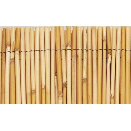 Bambú natural