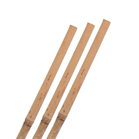Bala tutor Bambú - 500 unidades