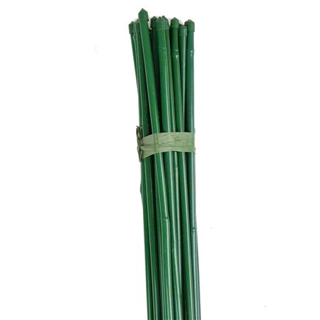 Pack Tutor Bambú Plastificado - 25 unidades